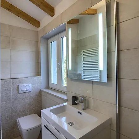 Complex Of 2 Iii With 2 Private Pools For Up To 16 Persons In Porec Near The Aquapark Mugeba