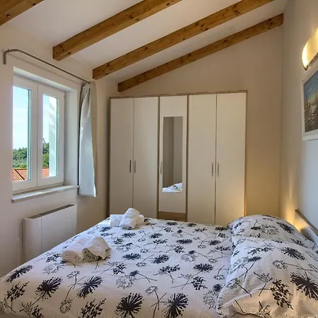 Complex Of 2 Iii With 2 Private Pools For Up To 16 Persons In Porec Near The Aquapark *