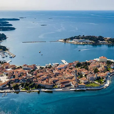 Complex Of 2 Iii With 2 Private Pools For Up To 16 Persons In Porec Near The Aquapark *